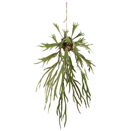 4ft. Staghorn Hanging Plant
